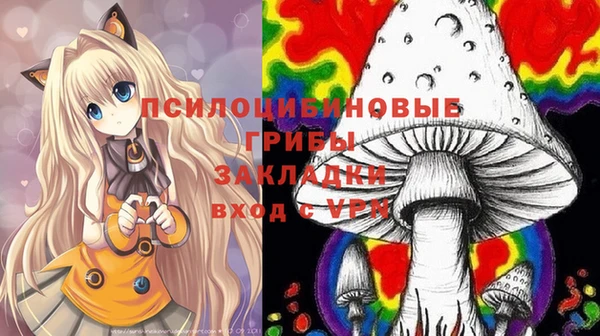 а пвп мука Баксан